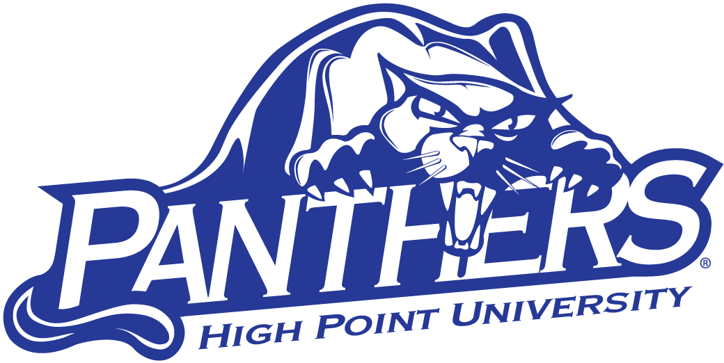 High Point Panthers 2004-Pres Alternate Logo v3 DIY iron on transfer (heat transfer)